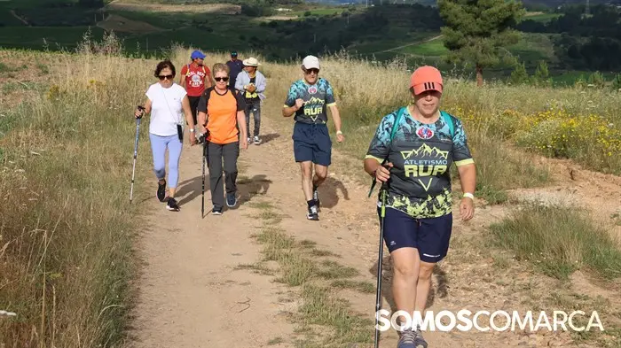 somoscomarca_240630_apotela_andaina_viñedos_vistas_panoramicas (25)