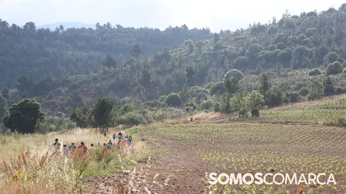 somoscomarca_240630_apotela_andaina_viñedos_vistas_panoramicas (27)