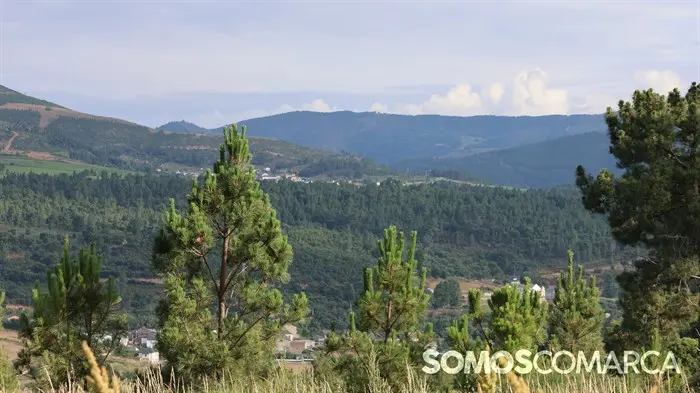 somoscomarca_240630_apotela_andaina_viñedos_vistas_panoramicas (31)