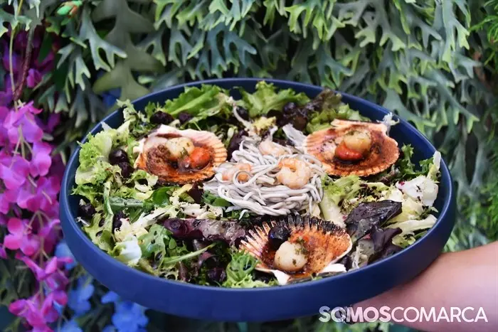 somoscomarca_20240704_vilamartin_obañadoiro_piscinas_cafeteria_villachicana (2)