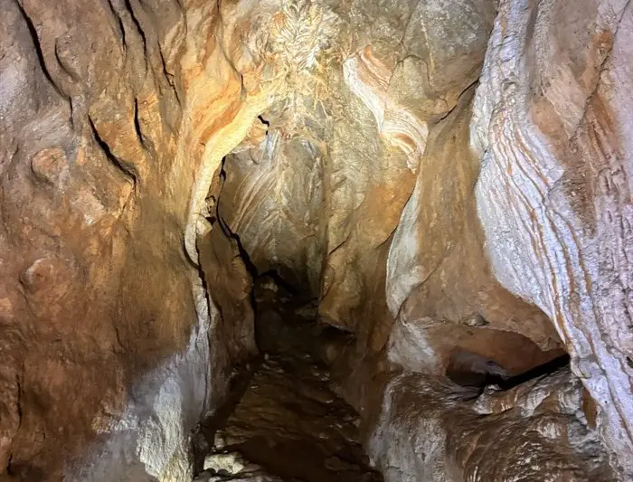 somoscomarca_240714_rubia_campamento_aguilasverdes_ (16)