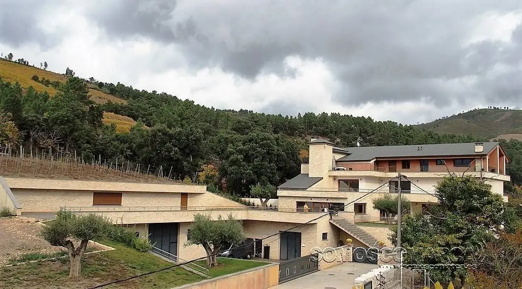 somoscomarca_entoma_roandi