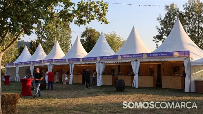 somoscomarca_240809_arua_bacofesta2187