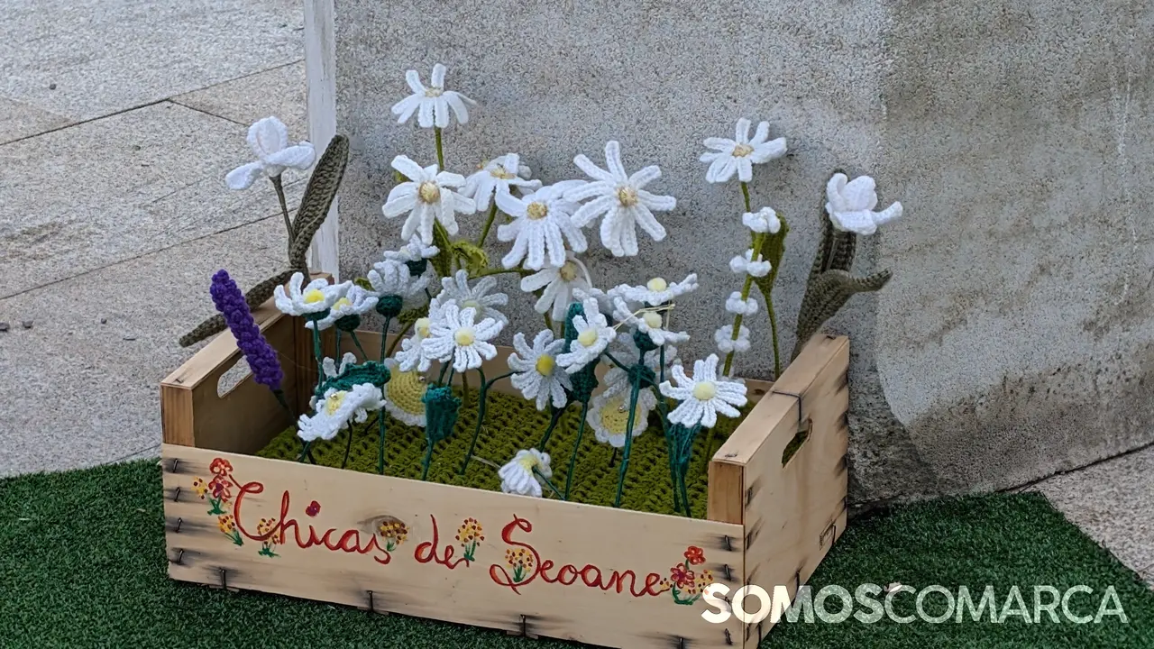 somoscomarca_240808_aveiga_tecendosoños (18)