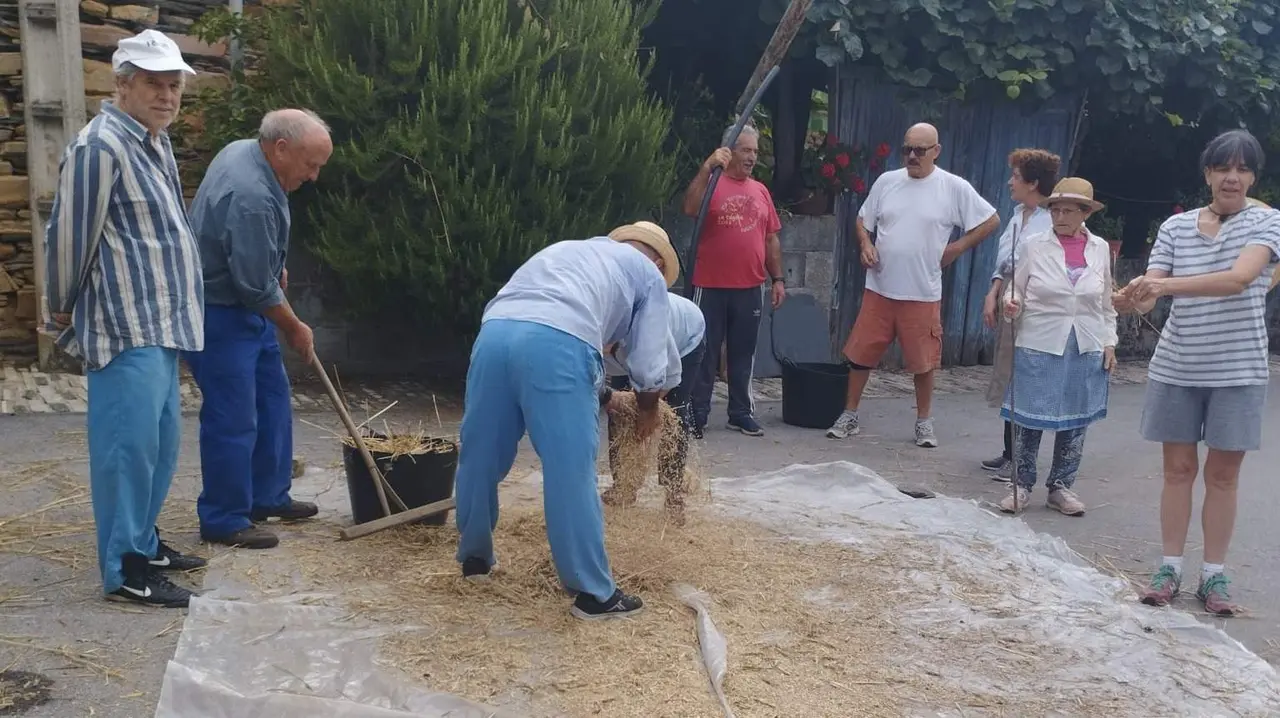 malla_sanvicente (2)