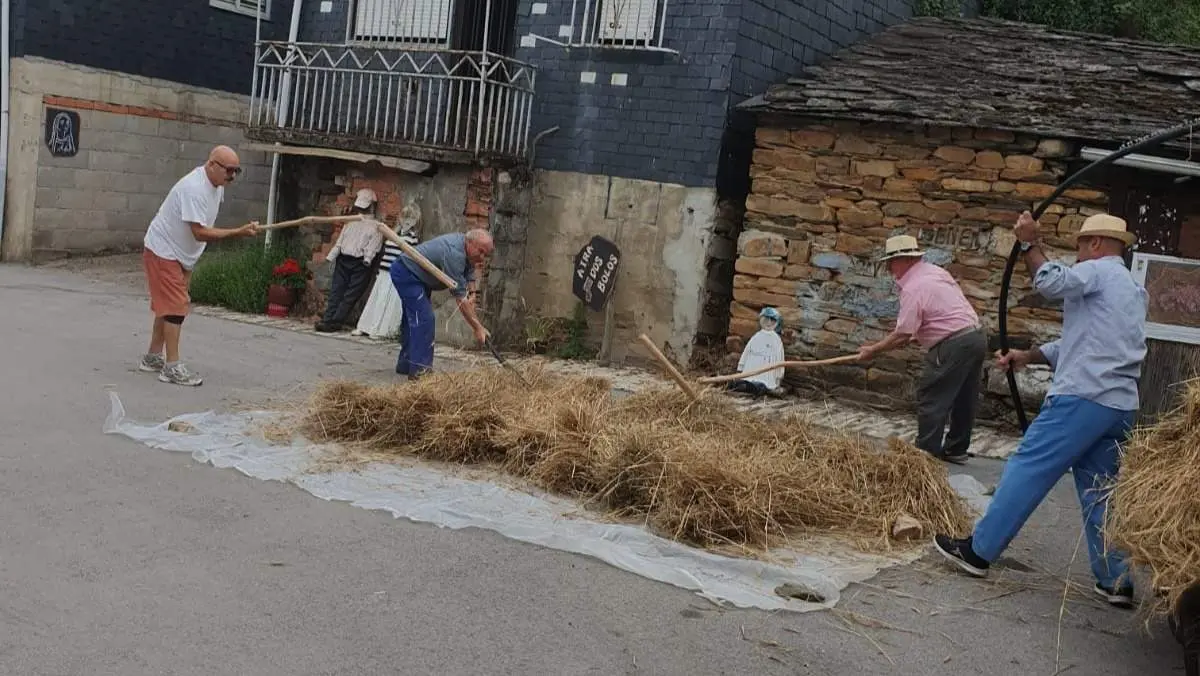 malla_sanvicente (1)