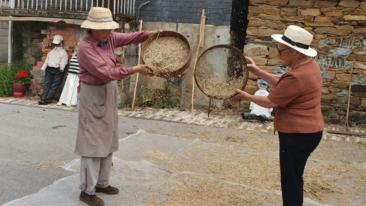 malla_sanvicente (4)