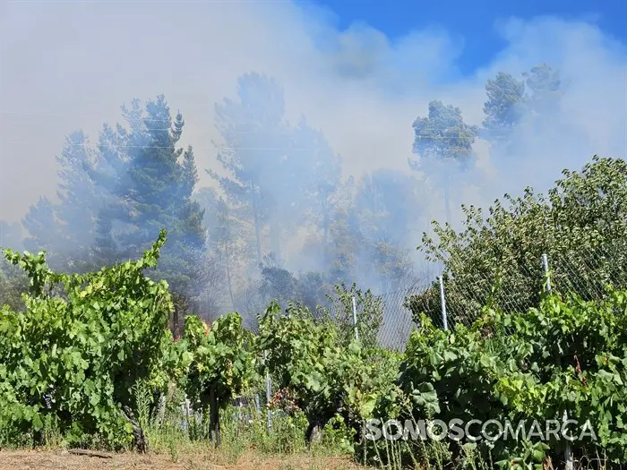 somoscomarca_240814_xagoaza incendio_2418 (3)