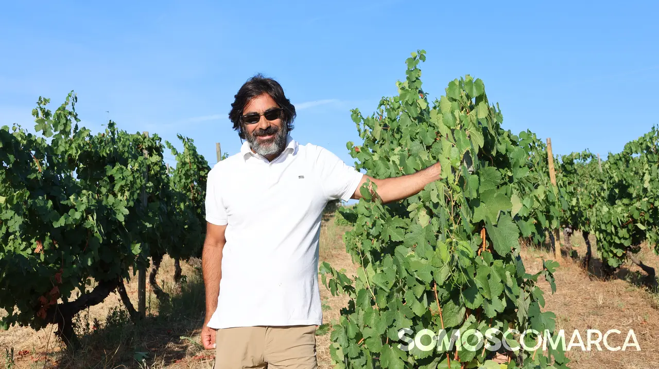 somoscomarca_2408021_vilamartin_vendimia_valdesil353