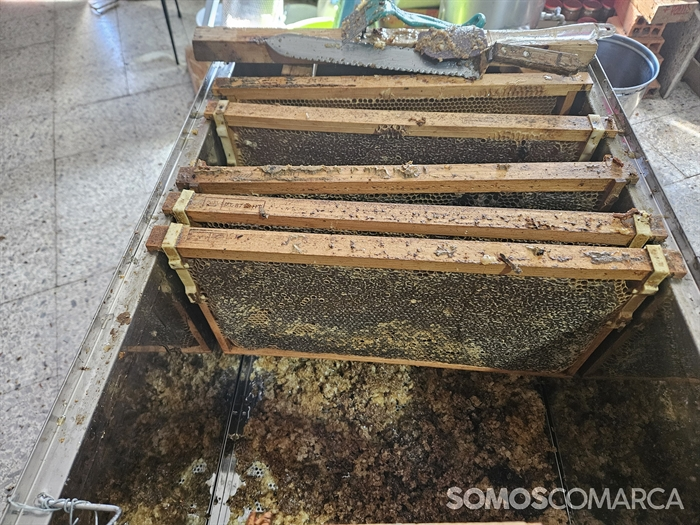somoscomarca_20240927_robledo_procesoelaboracionmiel_miel_colmena_centrifugadora_panel (2)