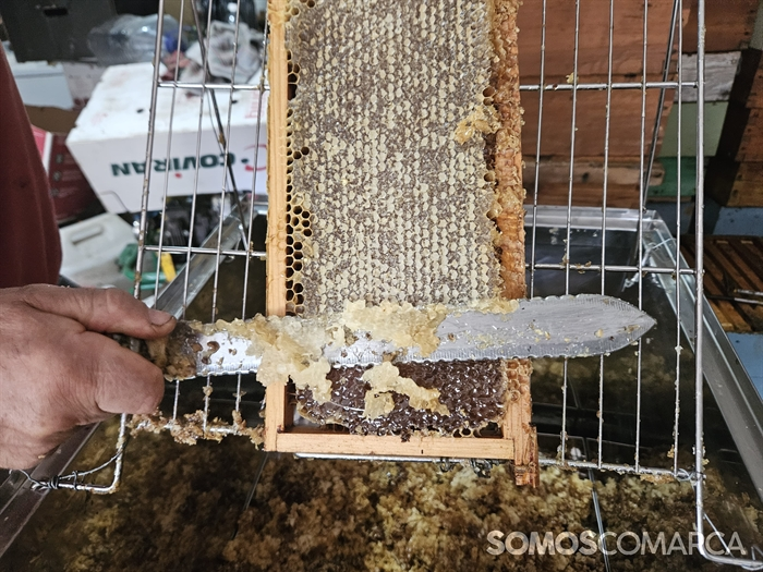 somoscomarca_20240927_robledo_procesoelaboracionmiel_miel_colmena_centrifugadora_panel (5)