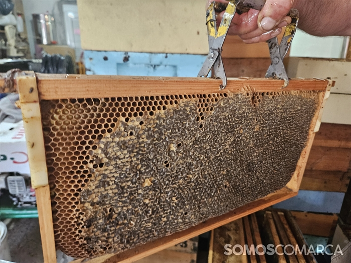 somoscomarca_20240927_robledo_procesoelaboracionmiel_miel_colmena_centrifugadora_panel (9)