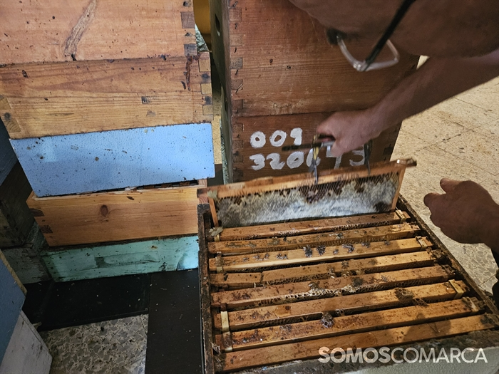 somoscomarca_20240927_robledo_procesoelaboracionmiel_miel_colmena_centrifugadora_panel (10)