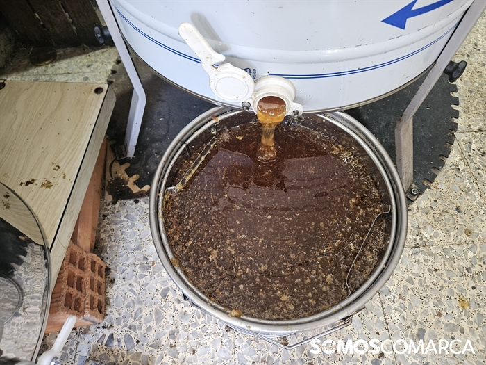 somoscomarca_20240927_robledo_procesoelaboracionmiel_miel_colmena_centrifugadora_panel (12)