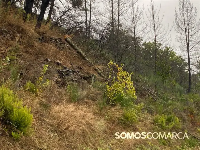 somoscomarca_20241009_inundaciones_mariñan_kirk_sucesos (2)