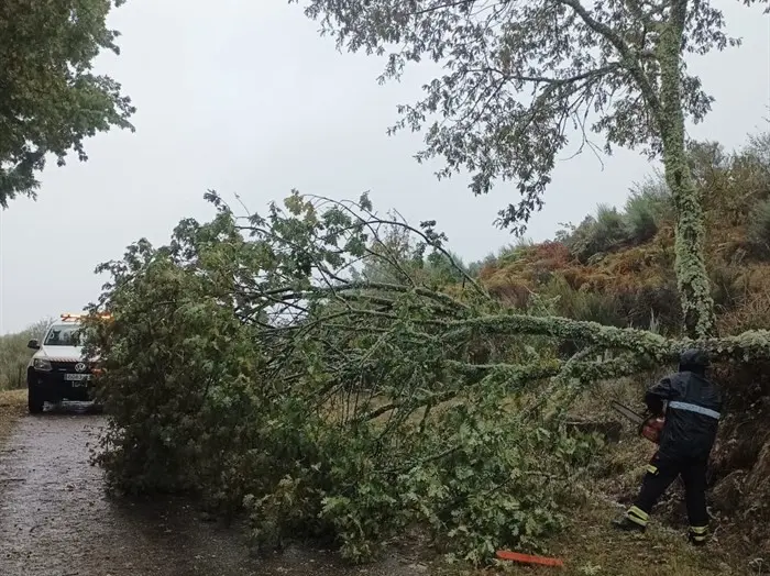 somoscomarca_20241009_aveiga_temporal_kirk_arbolcaido (1)