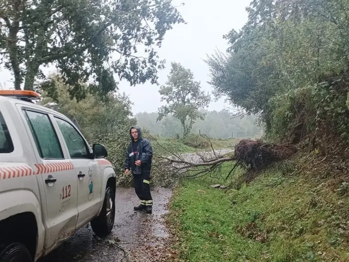 somoscomarca_20241009_aveiga_temporal_kirk_arbolcaido (2)