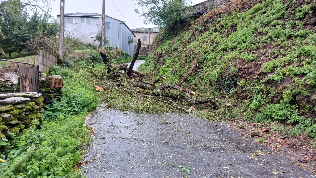 Corte de carreteras en San Xoán de Río por los árboles