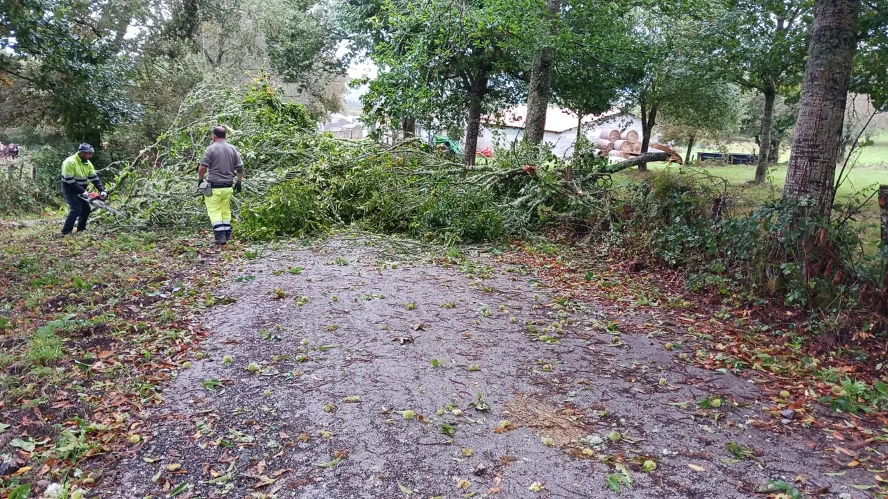 WhatsApp Image 2024-10-09 at 17.00.54 (1)