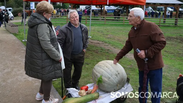 somoscomarca_20241018_aveiga_calabaza
