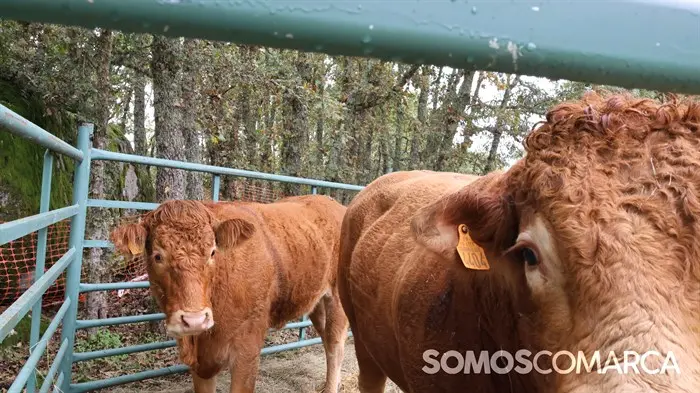 somoscomarca_20241018_roandi_aeva_asamblea_homenaje_luisalopez3989