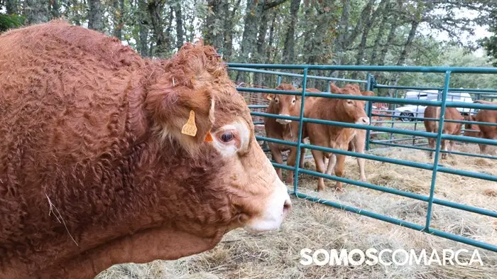 somoscomarca_20241018_roandi_aeva_asamblea_homenaje_luisalopez3990