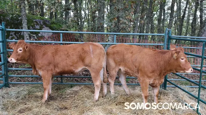 somoscomarca_20241018_roandi_aeva_asamblea_homenaje_luisalopez3991