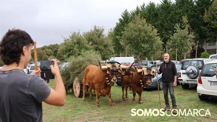 somoscomarca_20241018_aveiga_feriaganado_crianzatrevinca