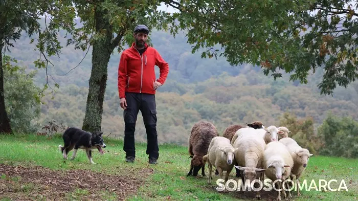 somoscomarca_20241018_aveiga_feriaganado_crianzatrevinca