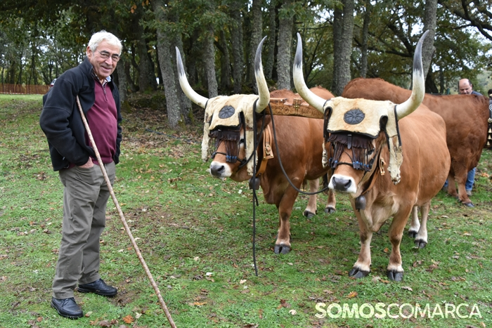 somoscomarca_20241019_aveiga_crianzatrevinca_exposiciongandeira (7)