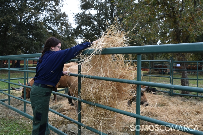 somoscomarca_20241019_aveiga_crianzatrevinca_exposiciongandeira (14)