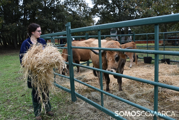 somoscomarca_20241019_aveiga_crianzatrevinca_exposiciongandeira (15)