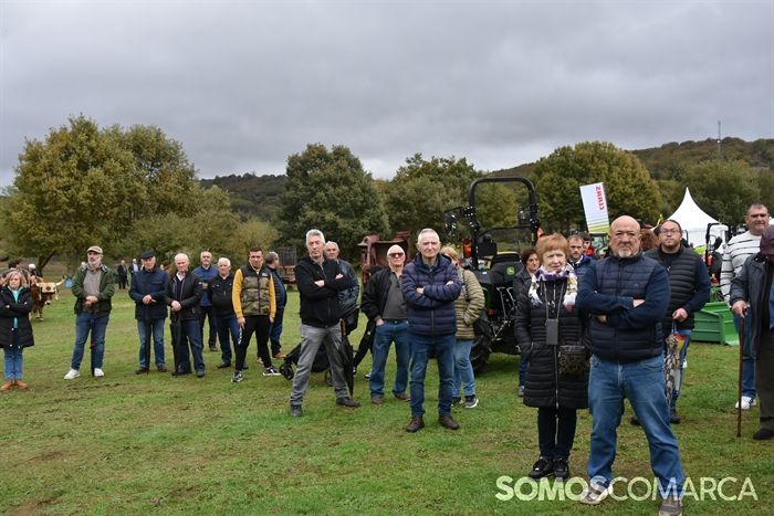 somoscomarca_20241019_aveiga_crianzatrevinca_exposiciongandeira (28)