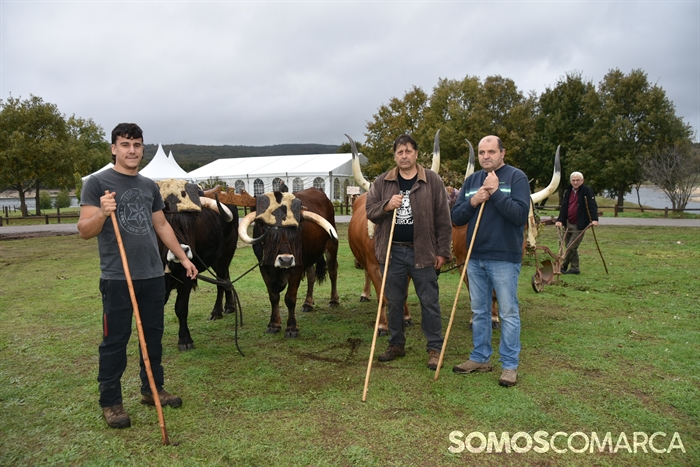 somoscomarca_20241019_aveiga_crianzatrevinca_exposiciongandeira (33)
