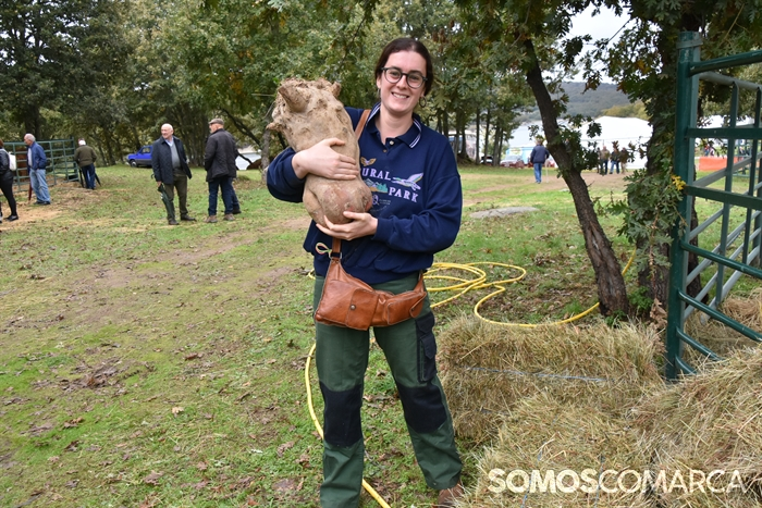 somoscomarca_20241019_aveiga_crianzatrevinca_exposiciongandeira (35)