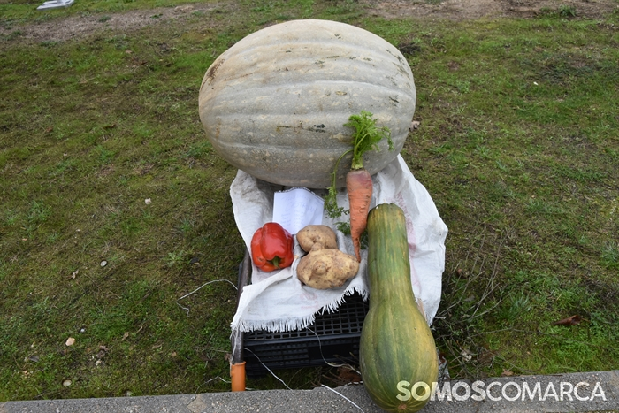 somoscomarca_20241019_aveiga_crianzatrevinca_exposiciongandeira (38)