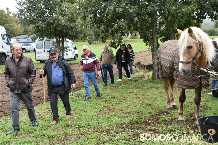 somoscomarca_20241019_aveiga_crianzatrevinca_exposiciongandeira (39)