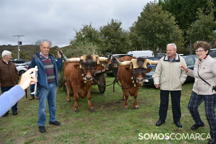 somoscomarca_20241019_aveiga_crianzatrevinca_exposiciongandeira (40)