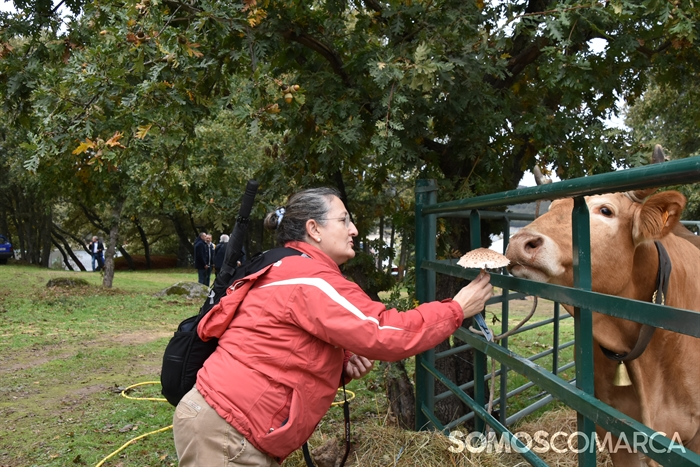 somoscomarca_20241019_aveiga_crianzatrevinca_exposiciongandeira (42)