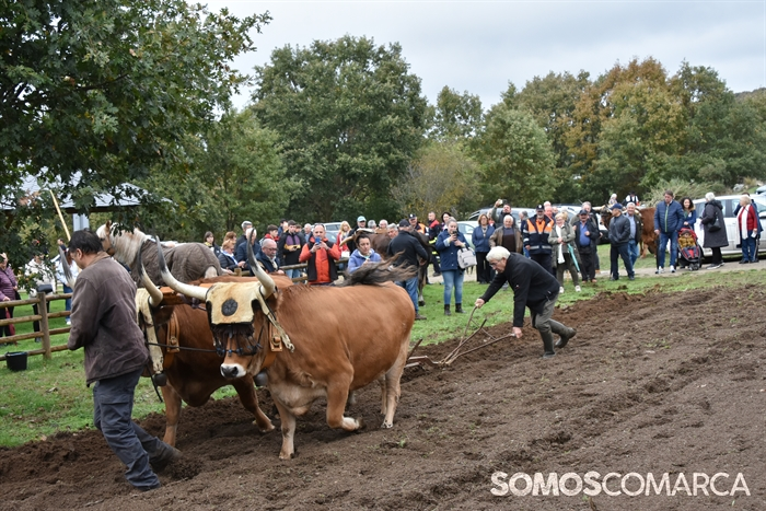 p_somoscomarca_20241019_aveiga_crianzatrevinca_exposiciongandeira (43)