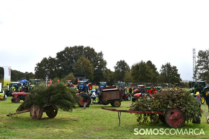 somoscomarca_20241019_aveiga_crianzatrevinca_exposiciongandeira (56)