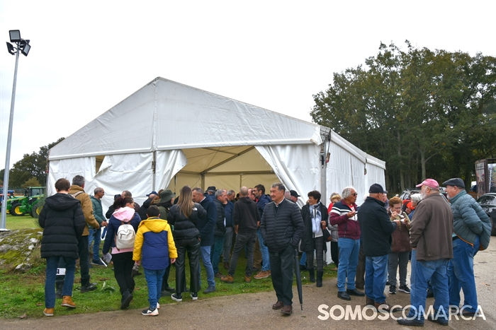 somoscomarca_20241019_aveiga_crianzatrevinca_exposiciongandeira (58)