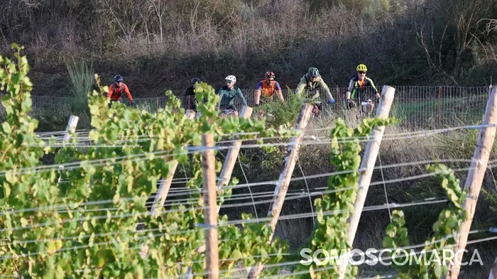 somoscomarca_20241020_obolo_viñedos