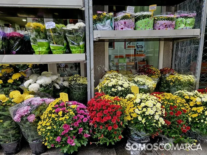 somoscomarca_241025_obarco_pelopicoplanta_santos_flores638