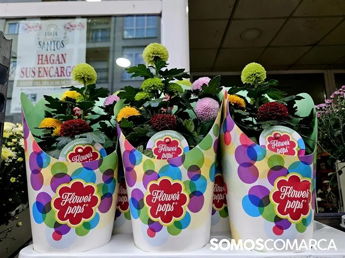 somoscomarca_241025_obarco_pelopicoplanta_santos_flores639