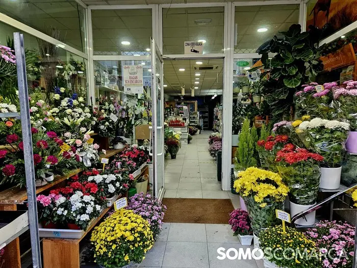 somoscomarca_241025_obarco_pelopicoplanta_santos_flores635