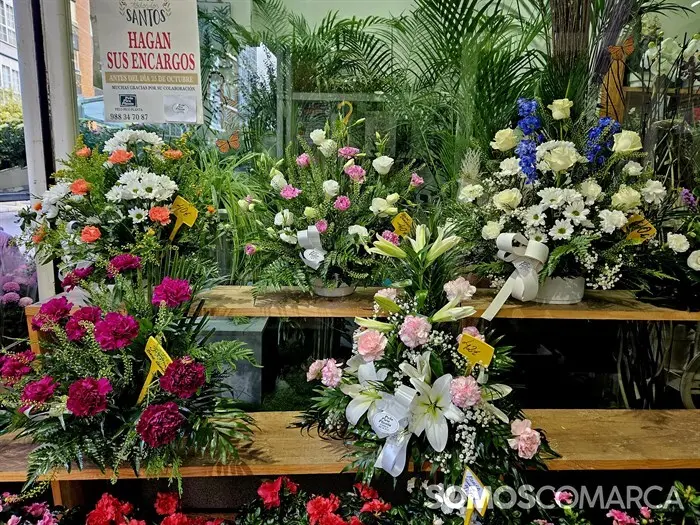 somoscomarca_241025_obarco_pelopicoplanta_santos_flores636