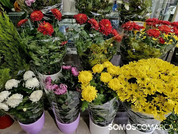 somoscomarca_241025_obarco_pelopicoplanta_santos_flores637