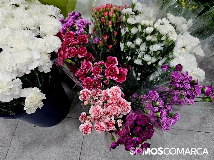 somoscomarca_241025_obarco_pelopicoplanta_santos_flores631