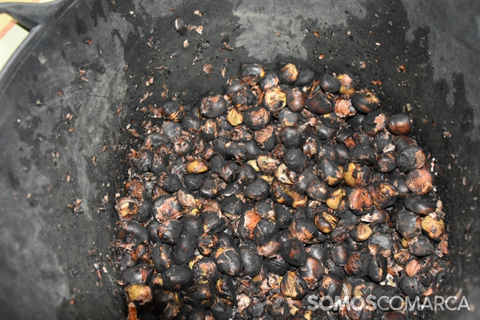 somoscomarca_20241026_aruavella_magosto_atrioiglesia (17)